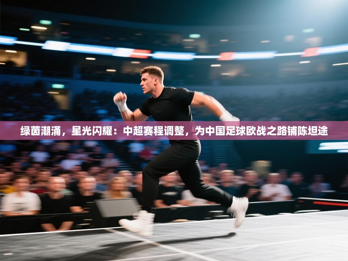 绿茵潮涌，星光闪耀：中超赛程调整，为中国足球欧战之路铺陈坦途  第2张